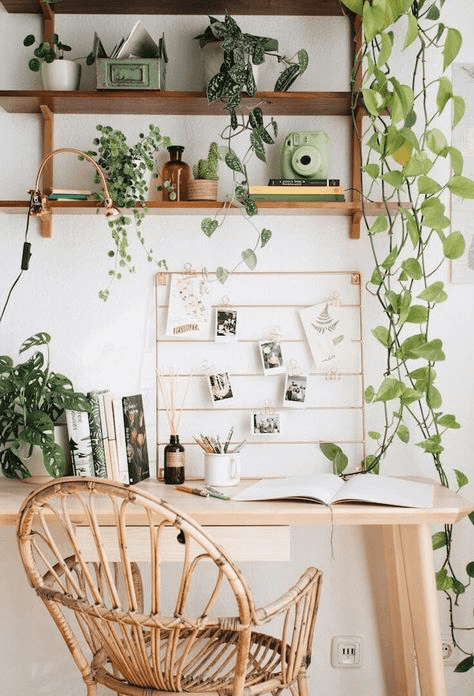 Minimal Desk Decor: Plants, Books, Candles &&nbsp;More..